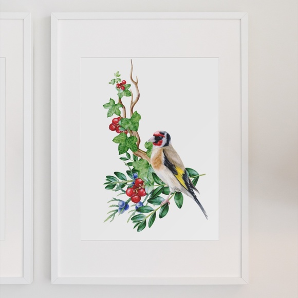Goldfinch Bird Wall Art Watercolor Illustration Print Poster Card Unframed - Picture 3 of 7